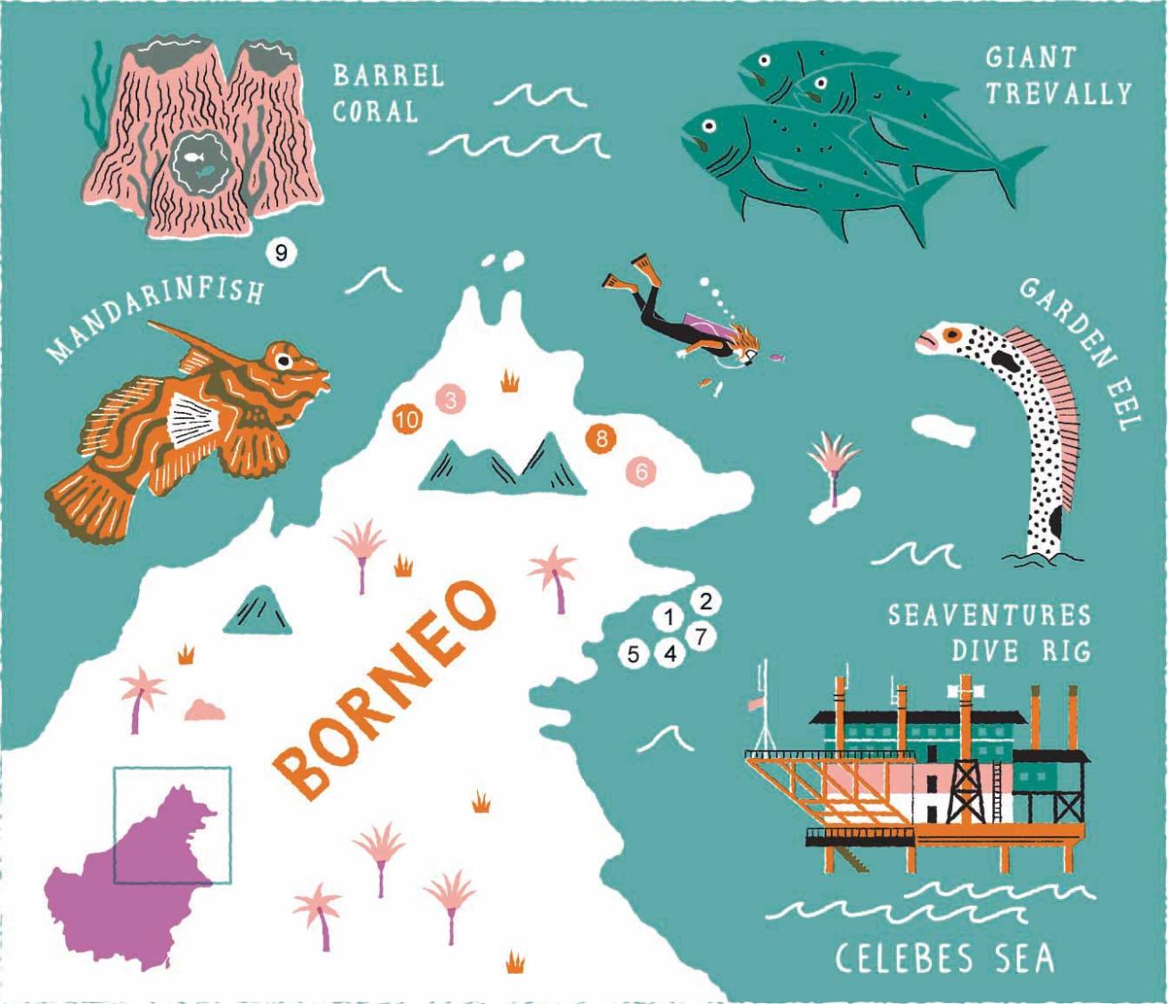 Borneo Map Illustration 