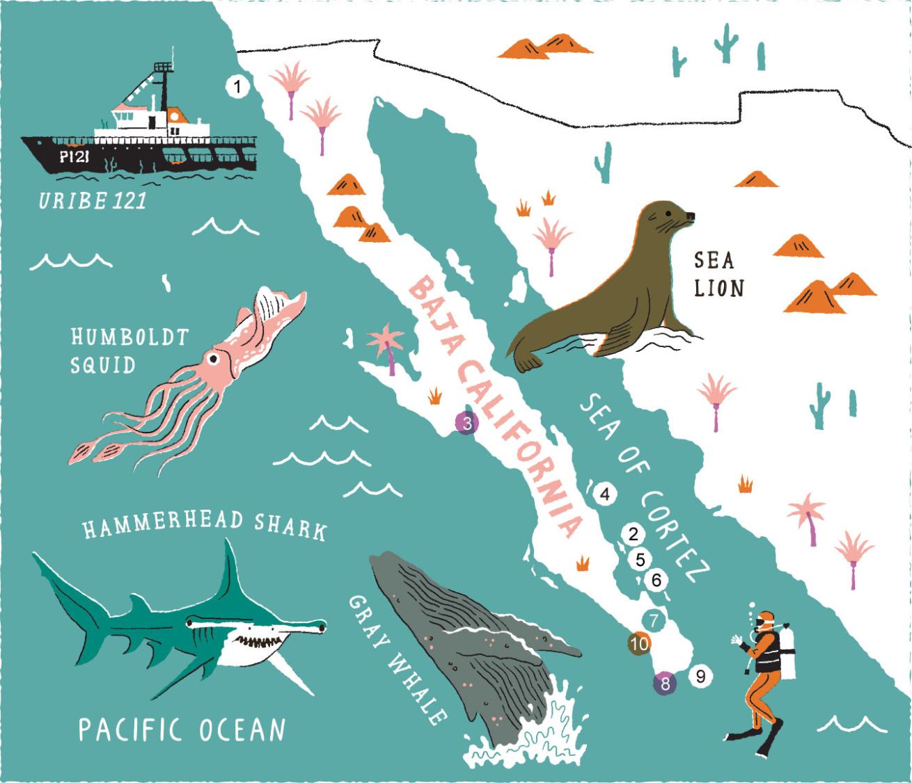 Baja California Map