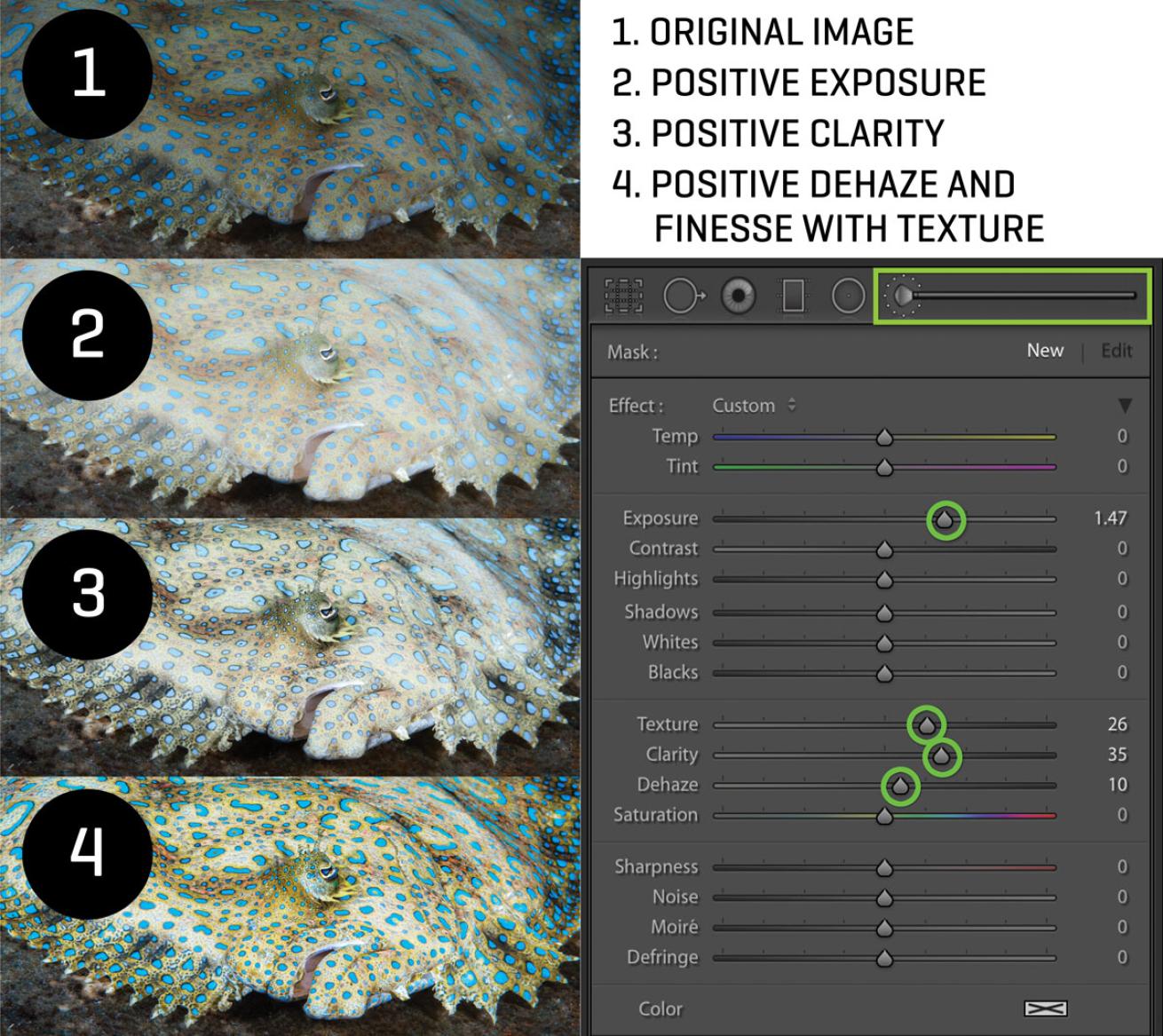 Imaging Plus Photoshop Tutorial