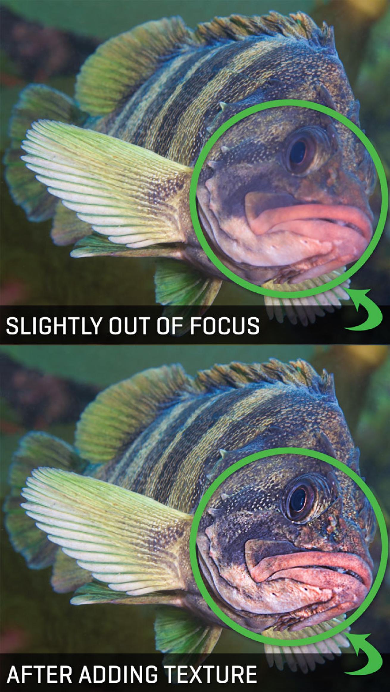 Imaging Plus Photoshop Tutorial