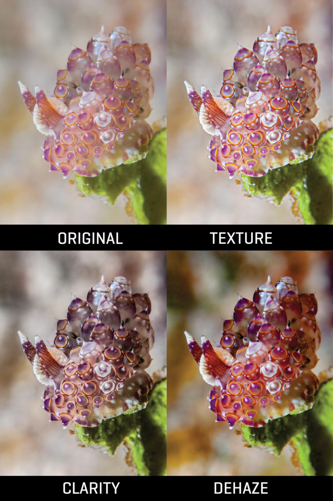 Imaging Plus Photoshop Tutorial
