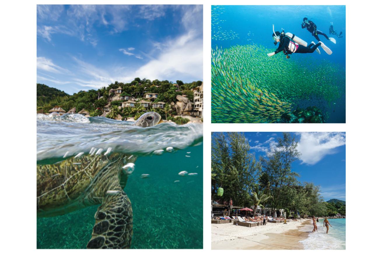 Scuba Diving Koh Tao, Thailand