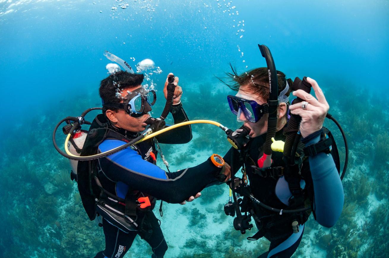 Scuba Divers Share Air