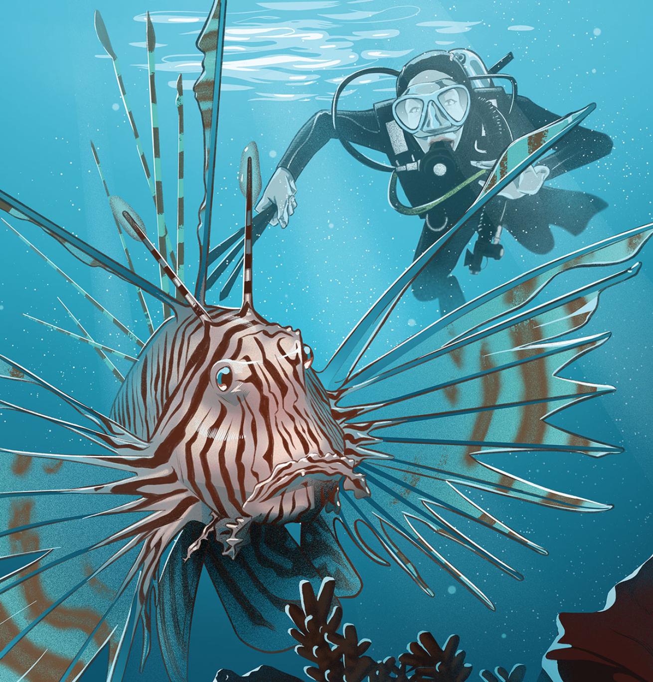 Lionfish and Diver Underwater