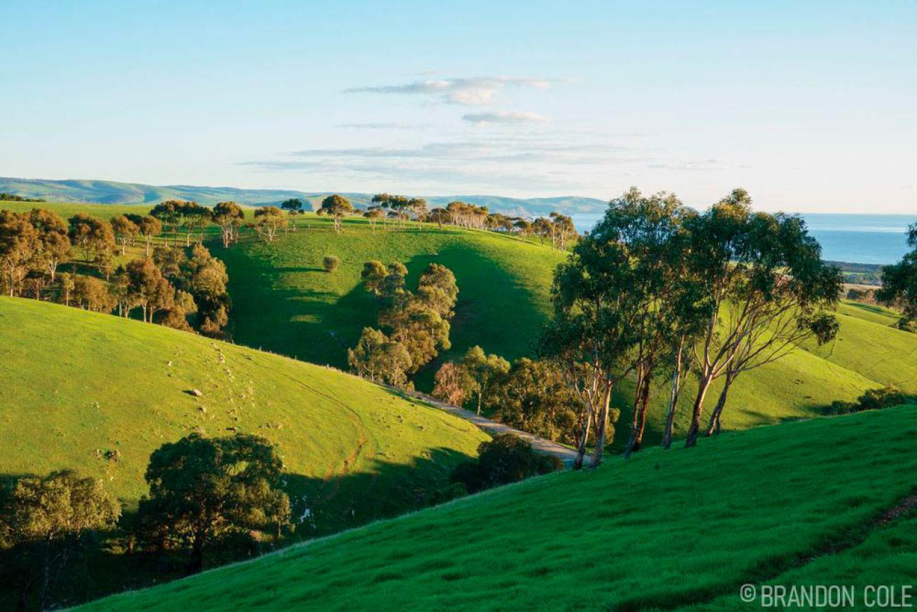 Fleurieu Peninsula Australia
