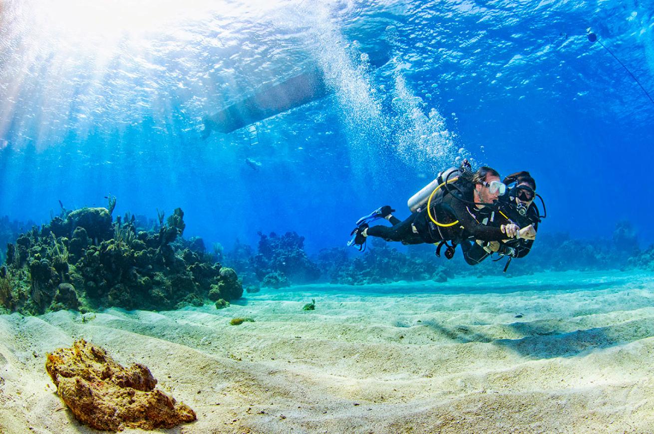 Scuba Buddies in Roatan, Honduras 