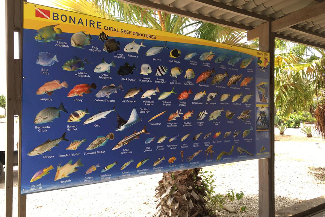 Fish species sign drive through tank fill Buddy Dive Bonaire