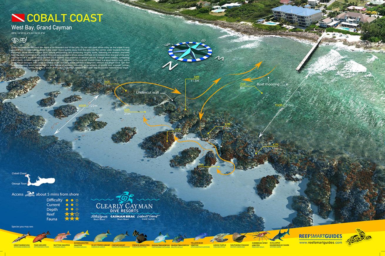 Cobalt Coast 3D dive site rendering from Reef Smart