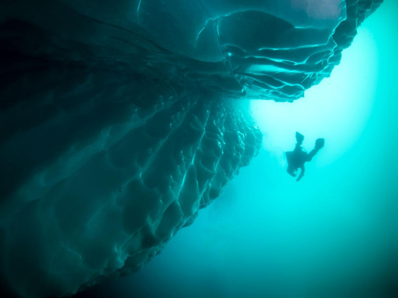 Arctic Scuba Diving
