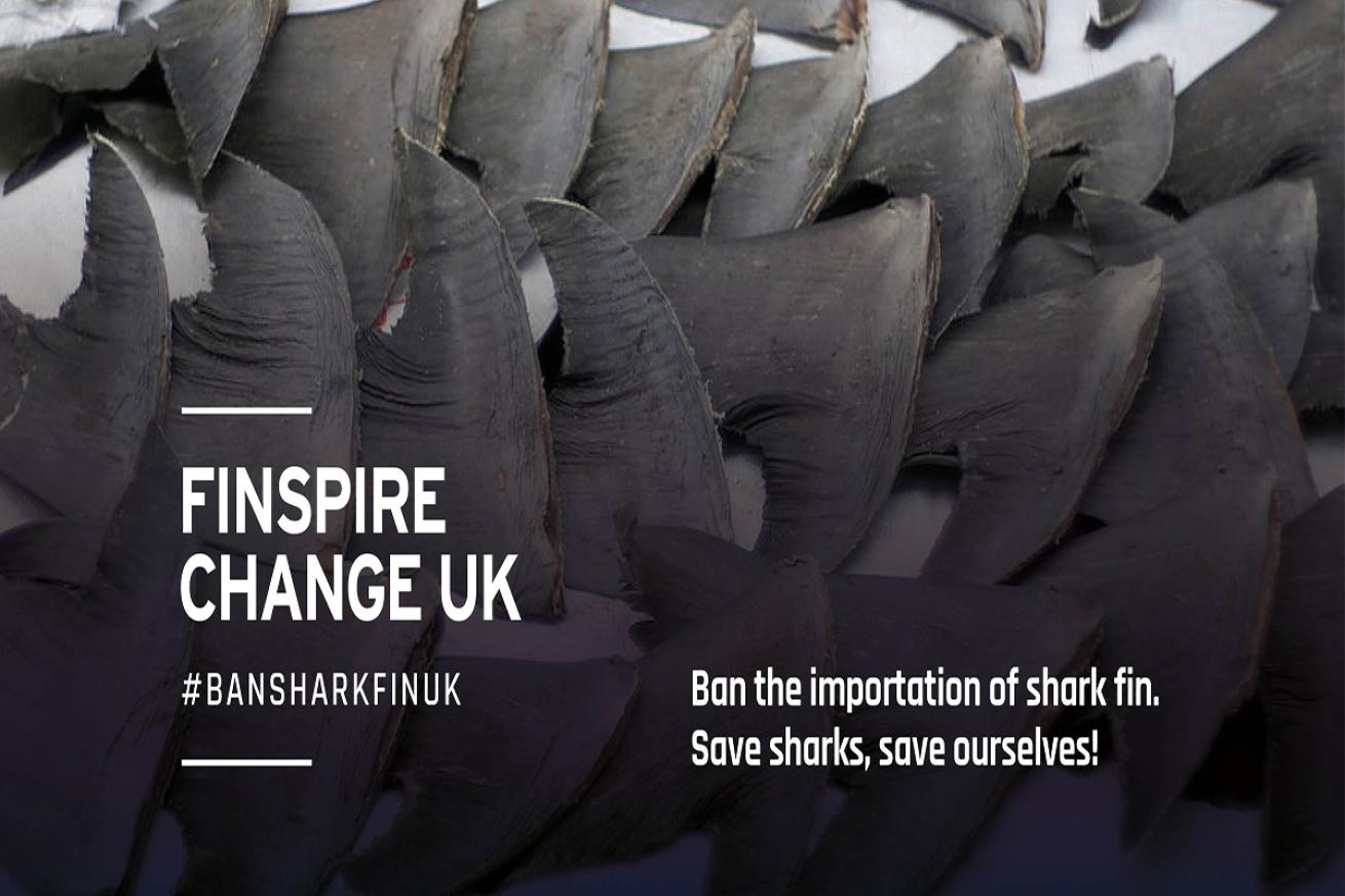 Finspire change UK advertisement from Shark Guardians