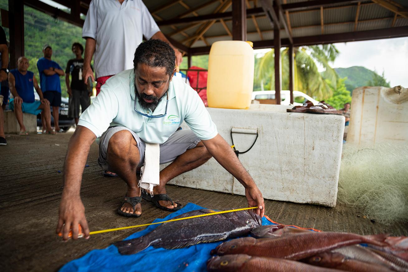 Man measuring fish in the Seychelles