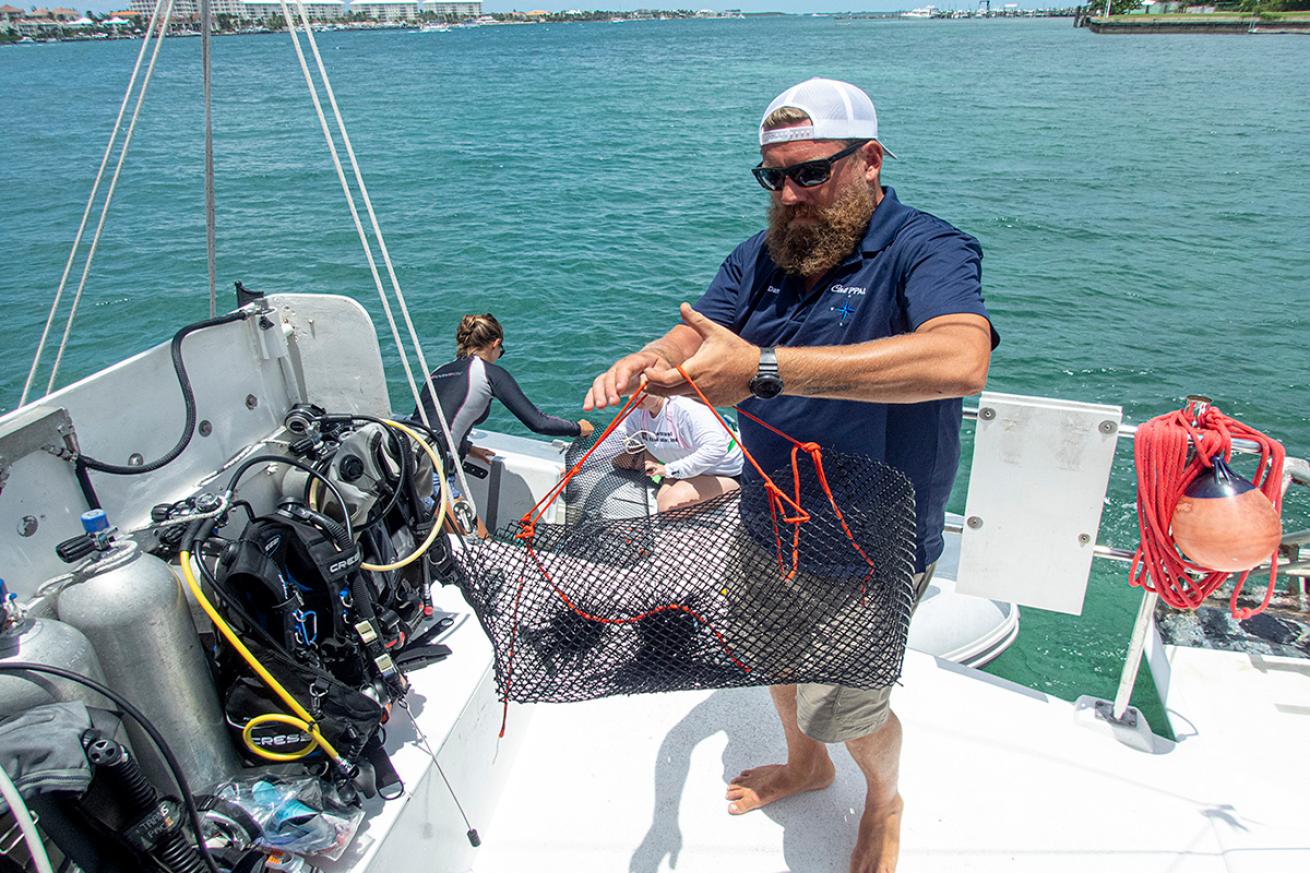 Cat Pplau engineer Dan Demers helps transfer urchins harvested for transplant from the shallows to deeper reefs.