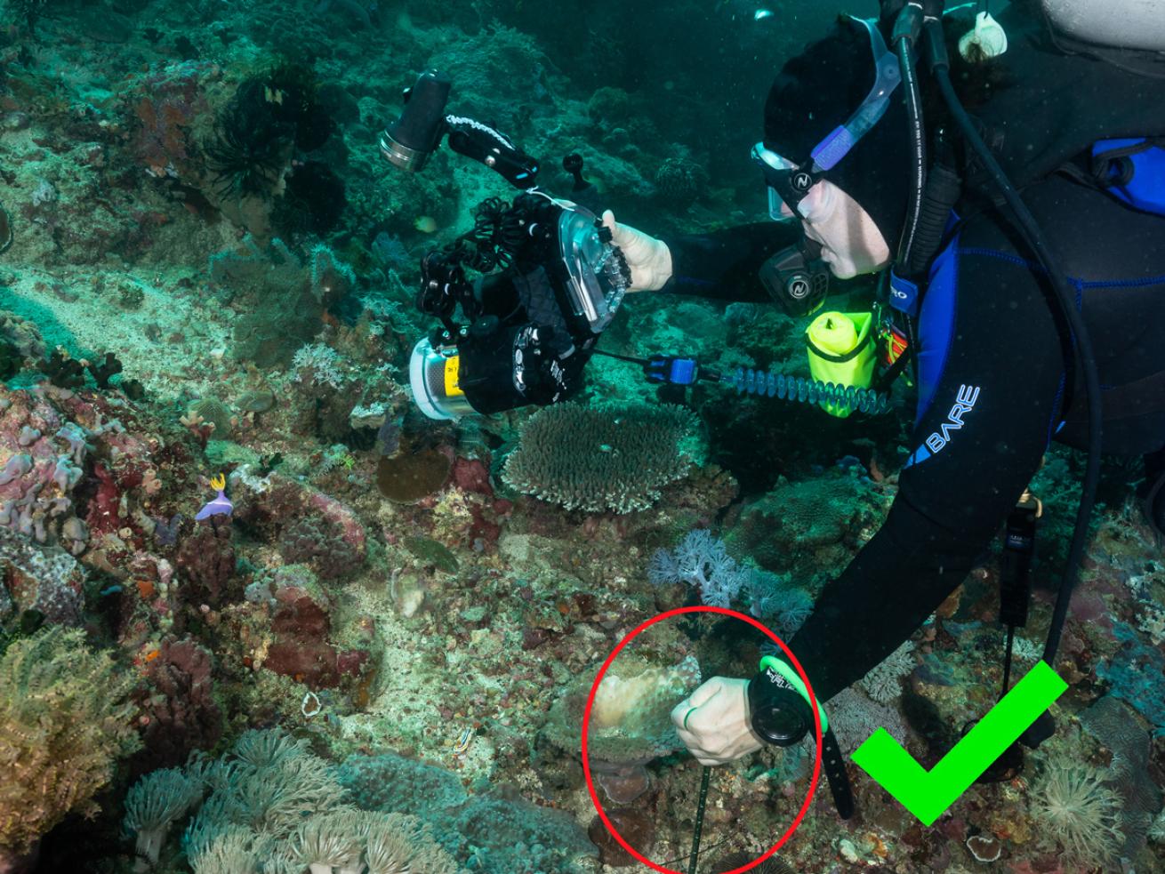 Diver Using Muck Stick