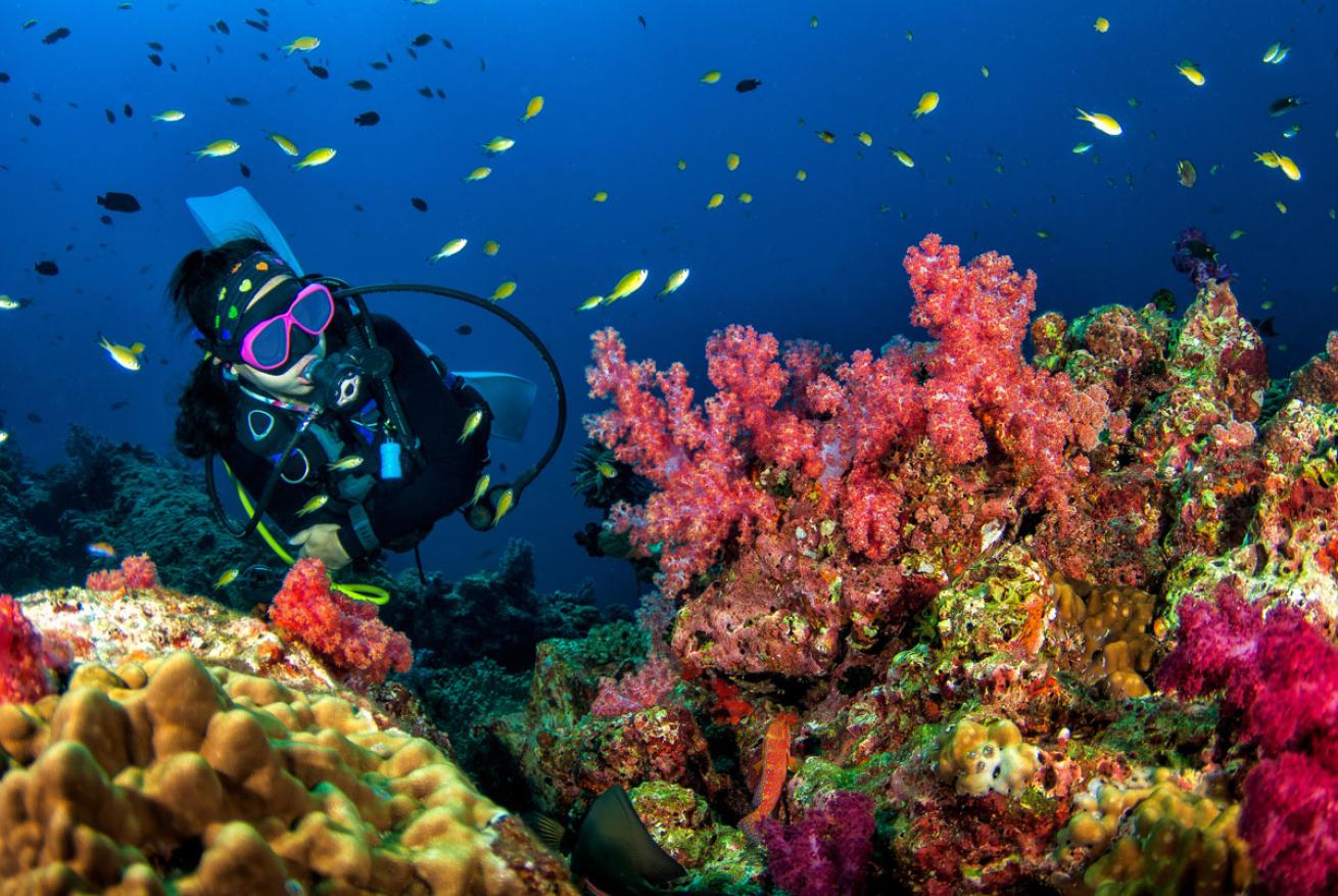 Scuba Diver in Andaman Sea