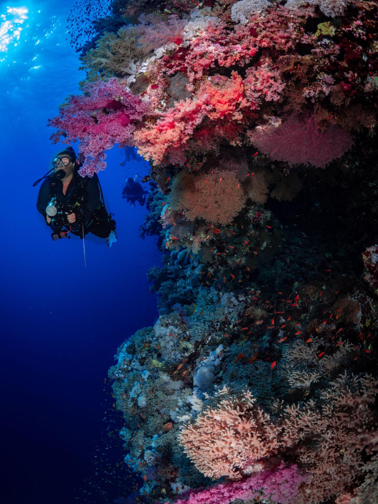 North Red Sea Brothers Dive Site