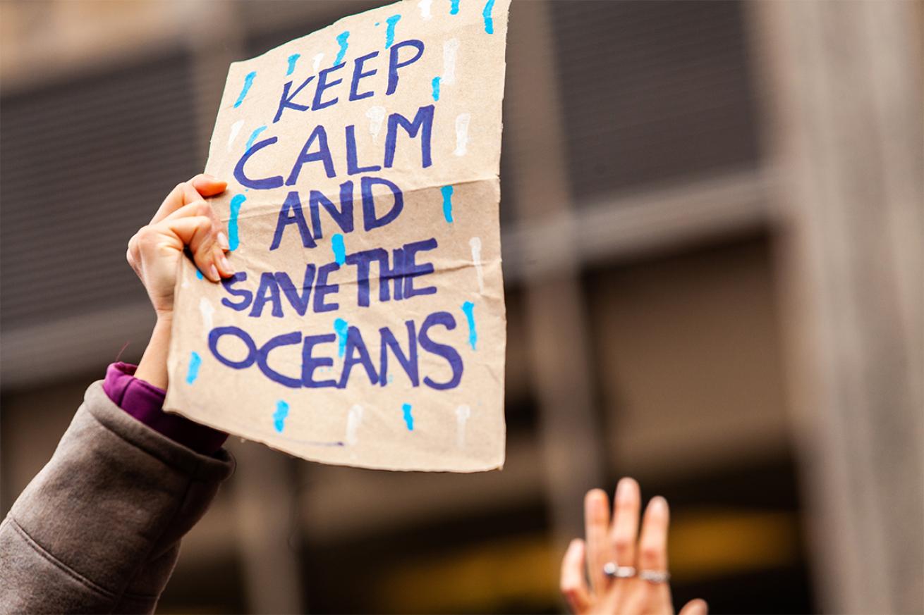 Environmental protest sign