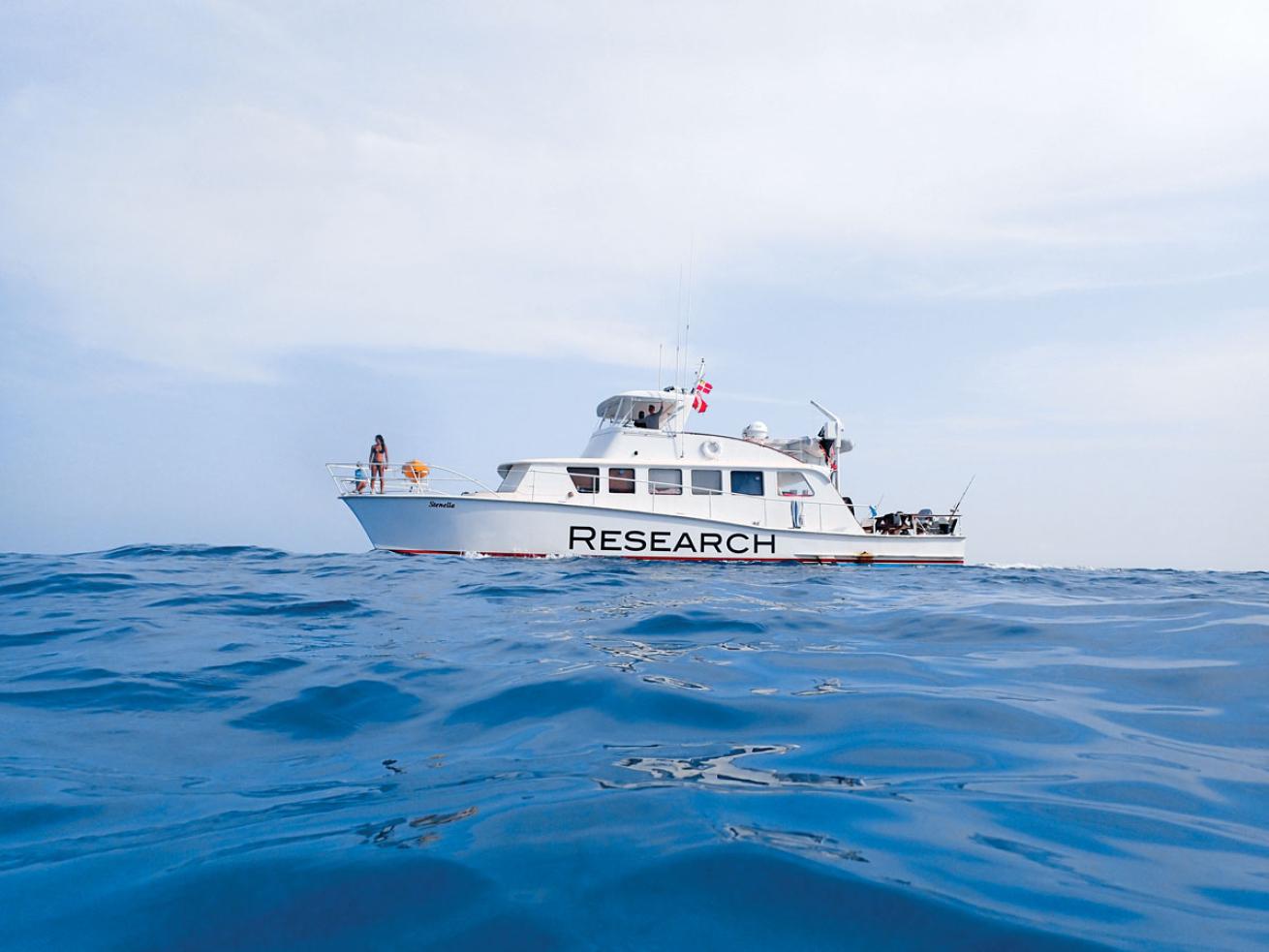 Wild Dolphin Project Research Vessel