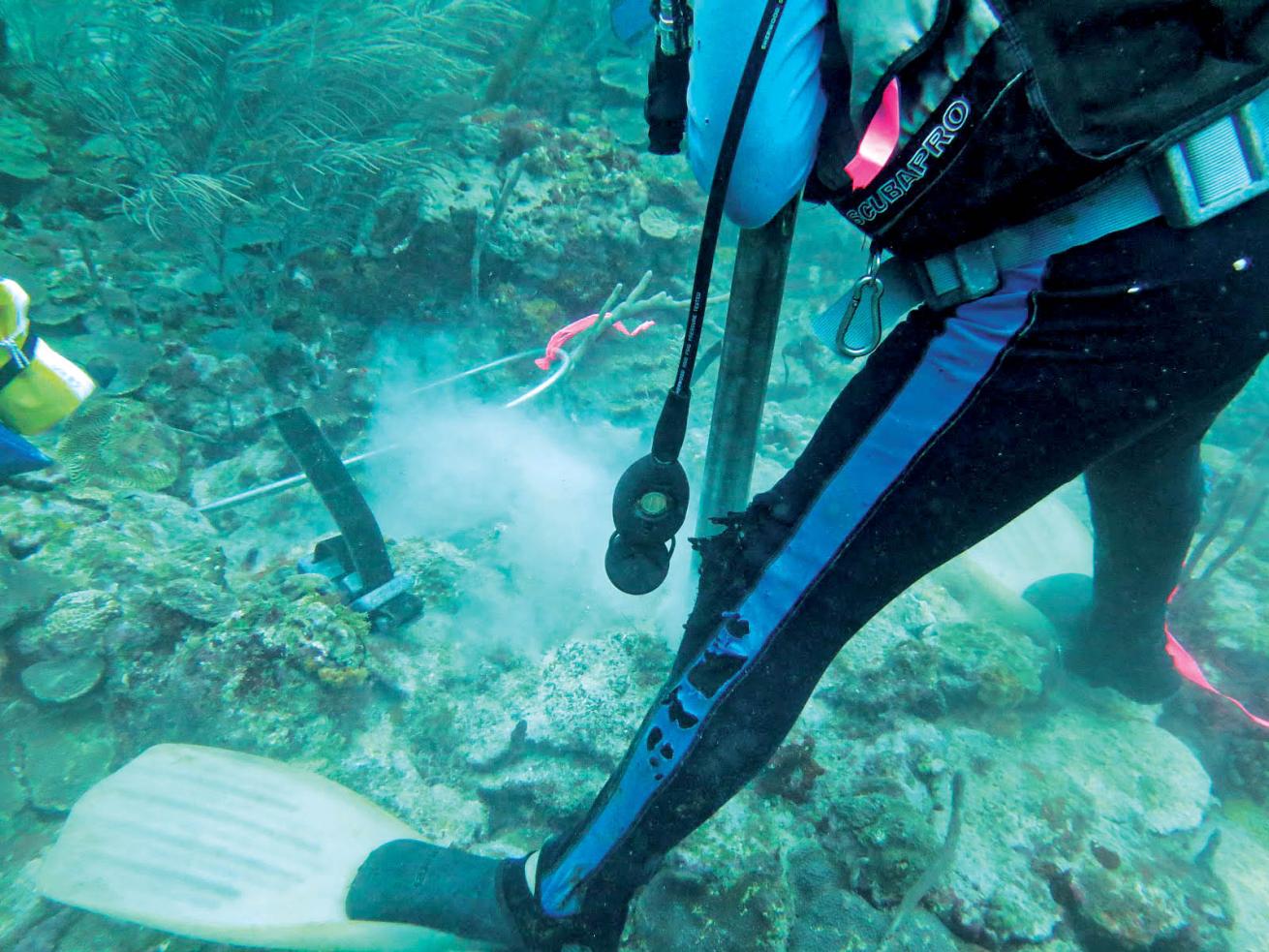 John Halas works underwater