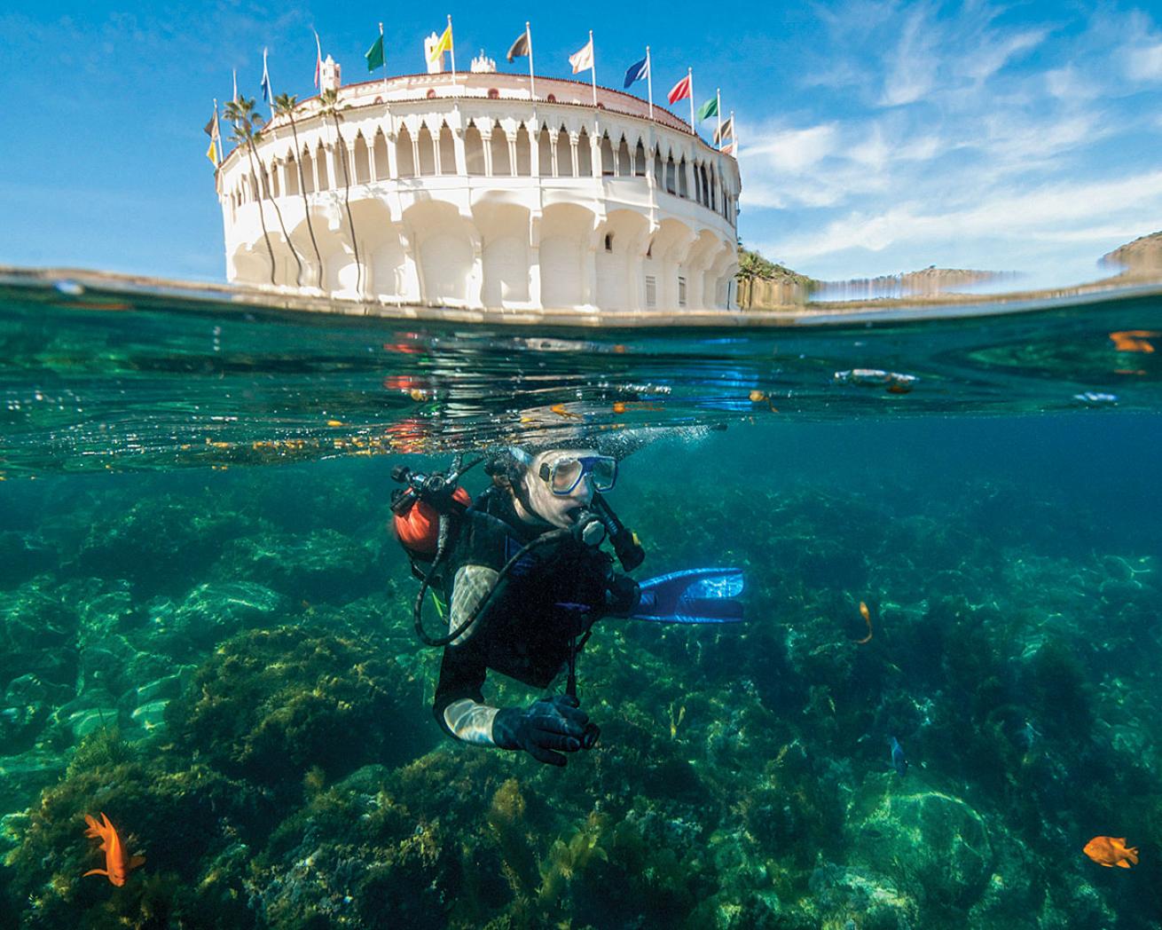 Scuba Diver Off Catalina Island