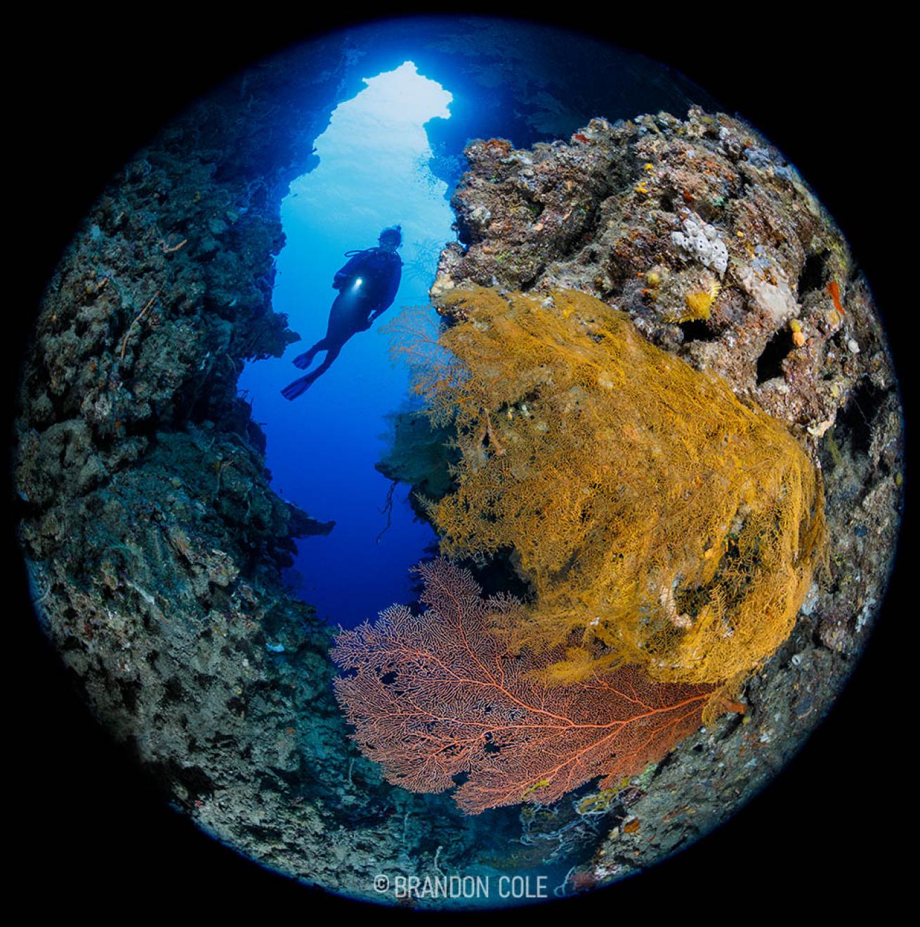 Scuba Diver in Cave of the Kastom Shark