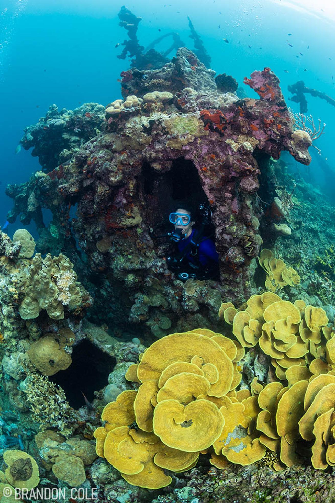 Kashi Maru in Solomon Islands