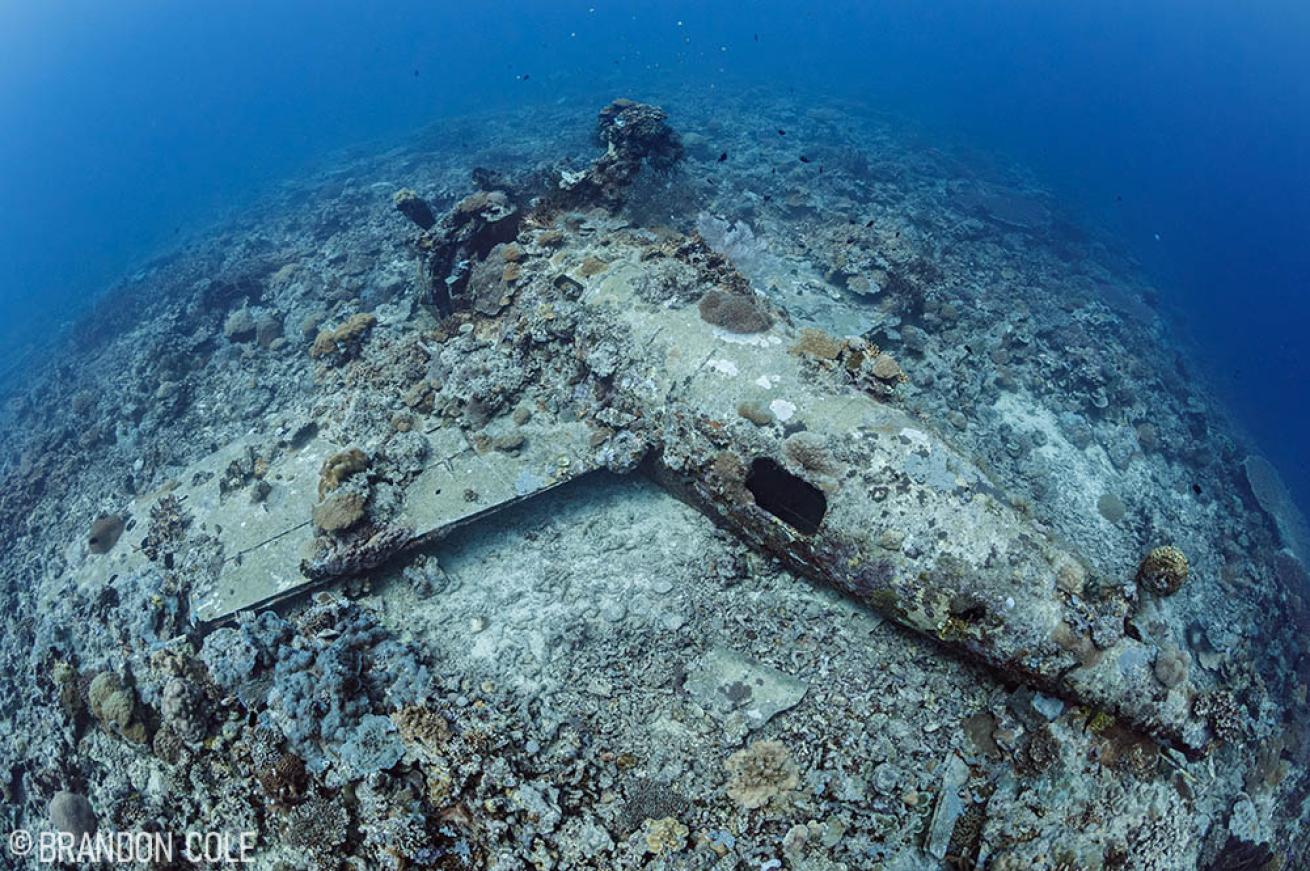 F4F Wildcat Fighter Plane in Solomon Islands