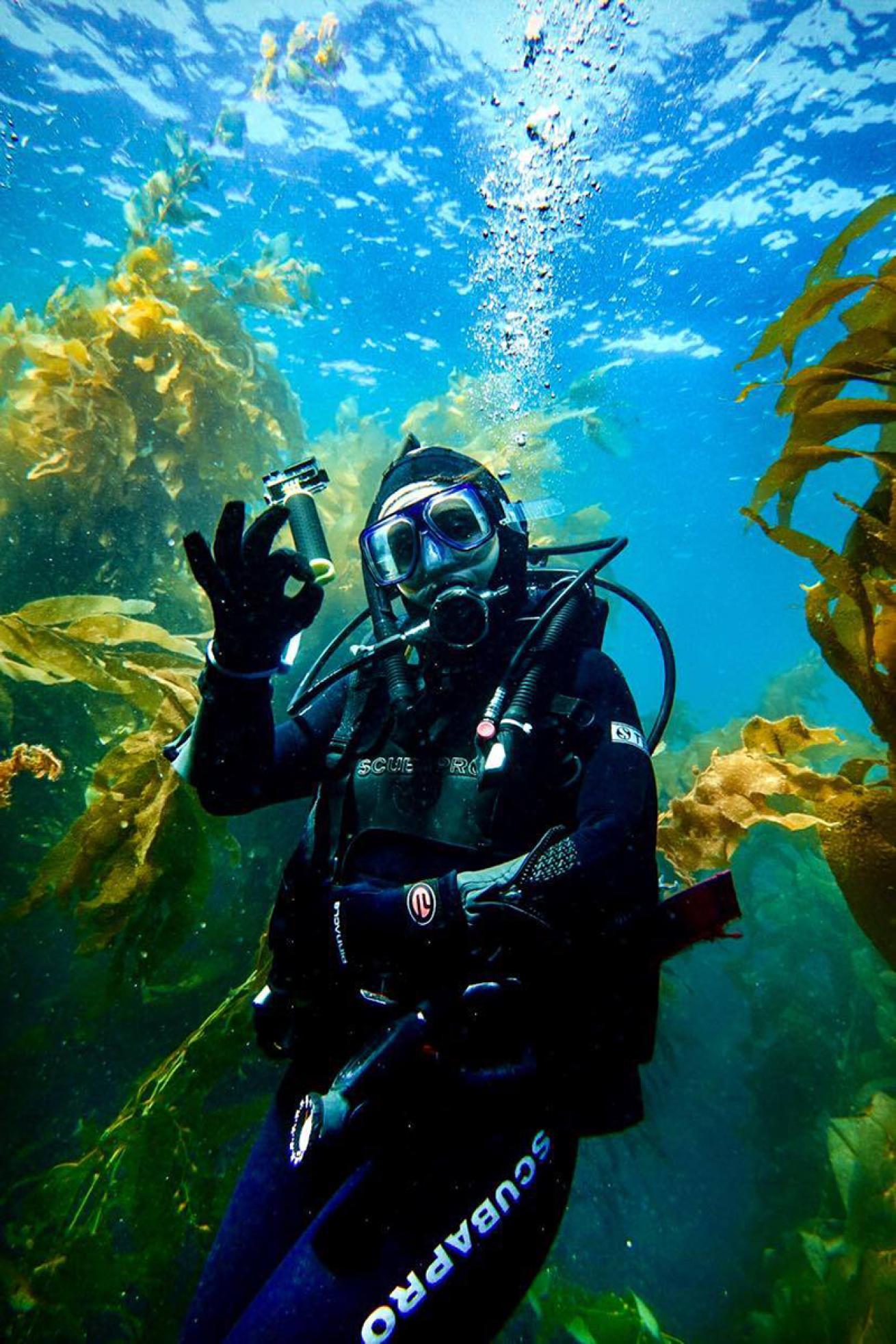 Diver in a kelp forest