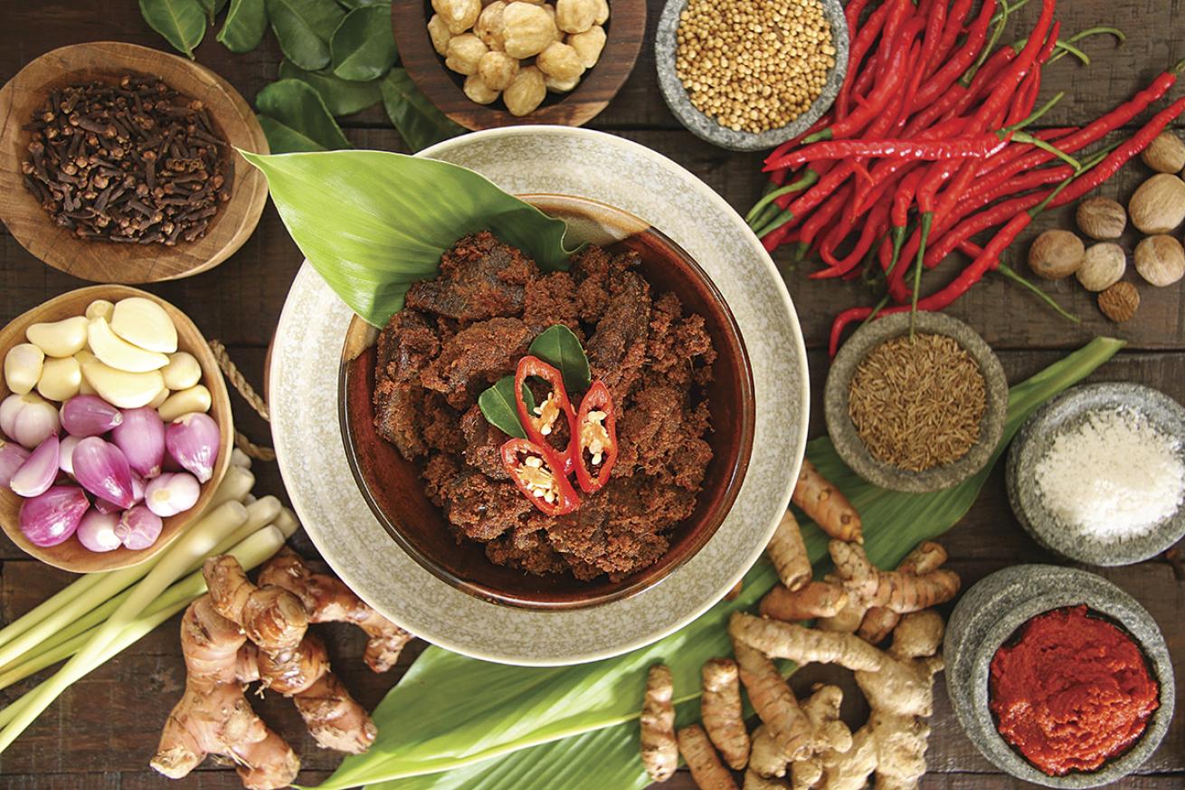 Padang beef stew