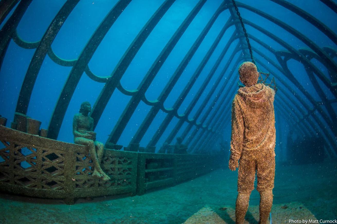 The Coral Greenhouse Underwater Museum Great Barrier Reef