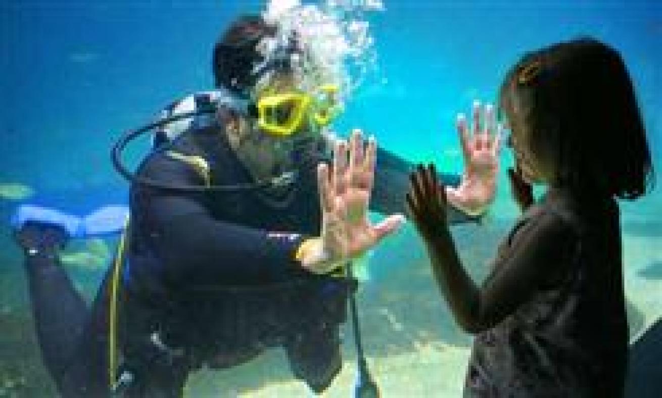 Dive Volunteer at Adventure Aquarium 