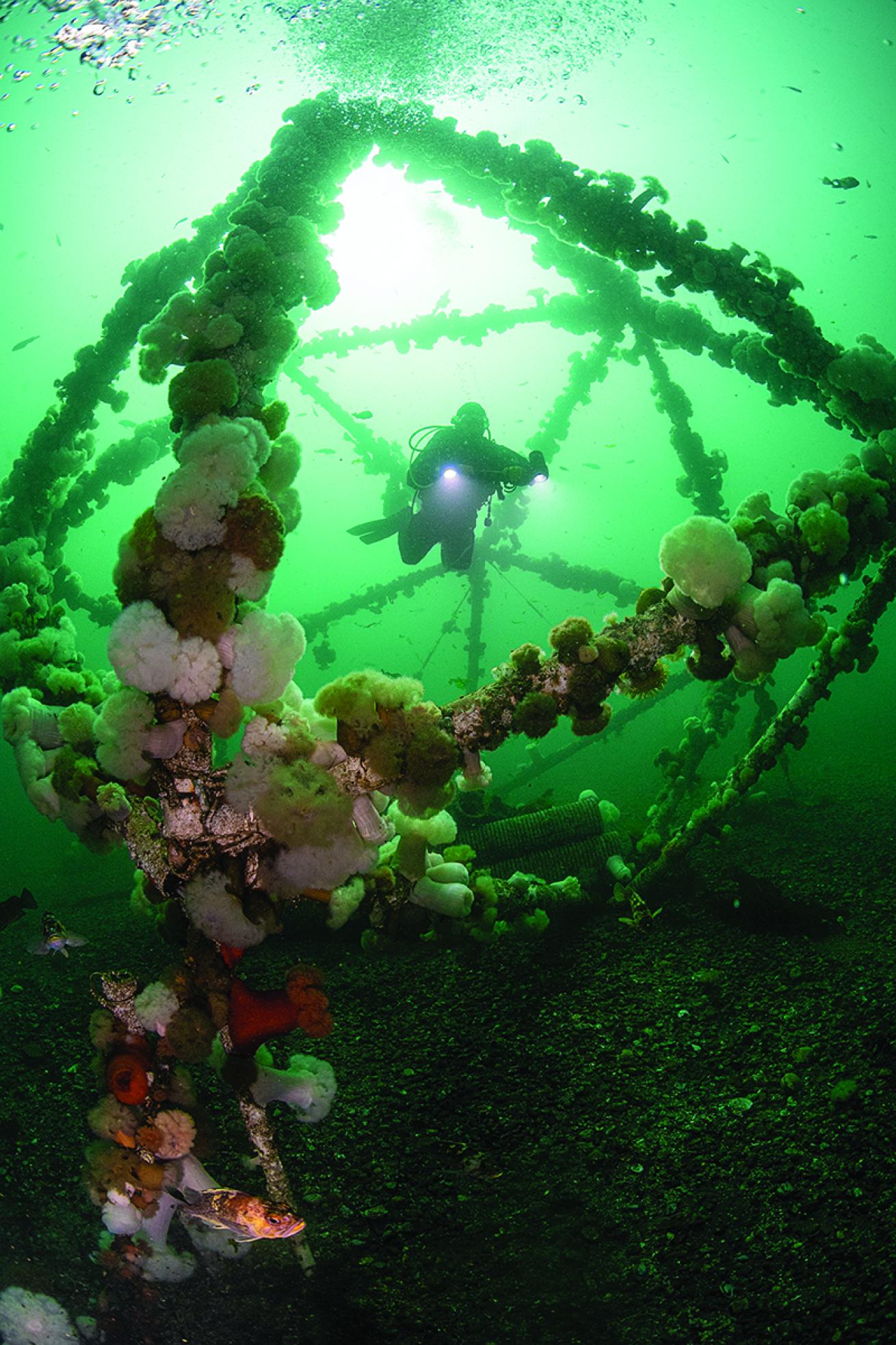 Diver in underwater structure