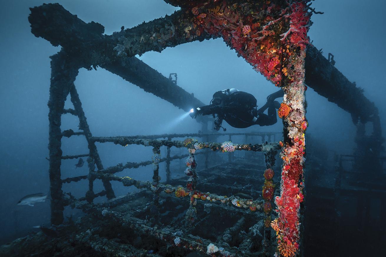 A diver explores the Lady Luck wreck