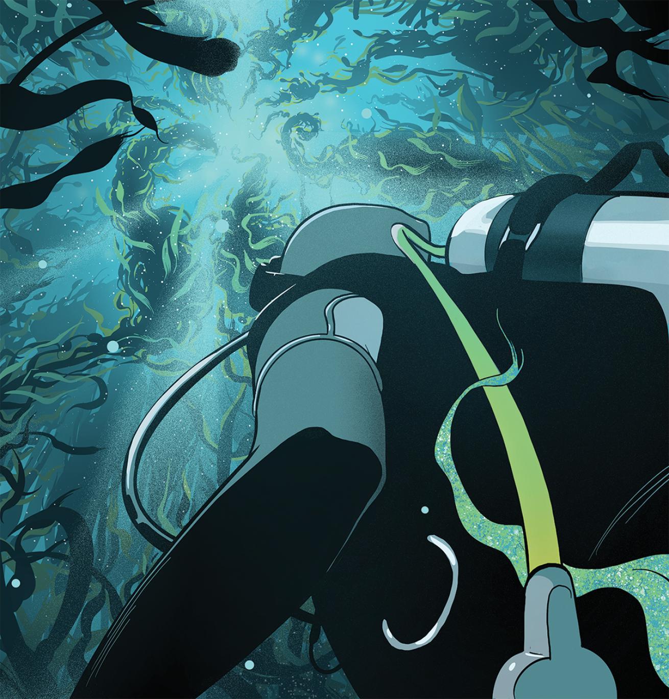 Illustration of a diver in kelp