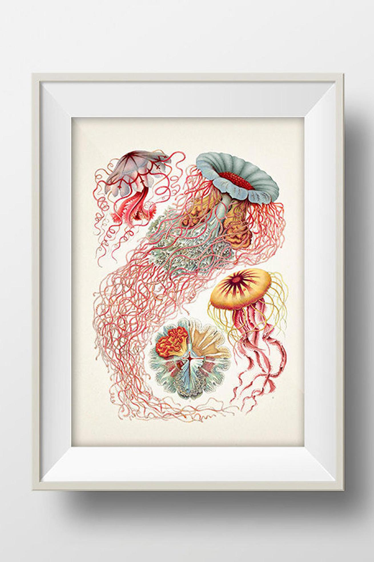 Jellyfish print