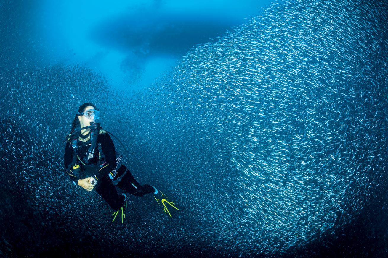 Diver with glassfish