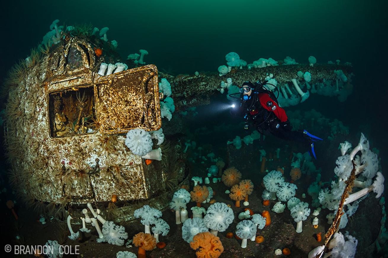 Wreck of the HMCS Saskatchewan