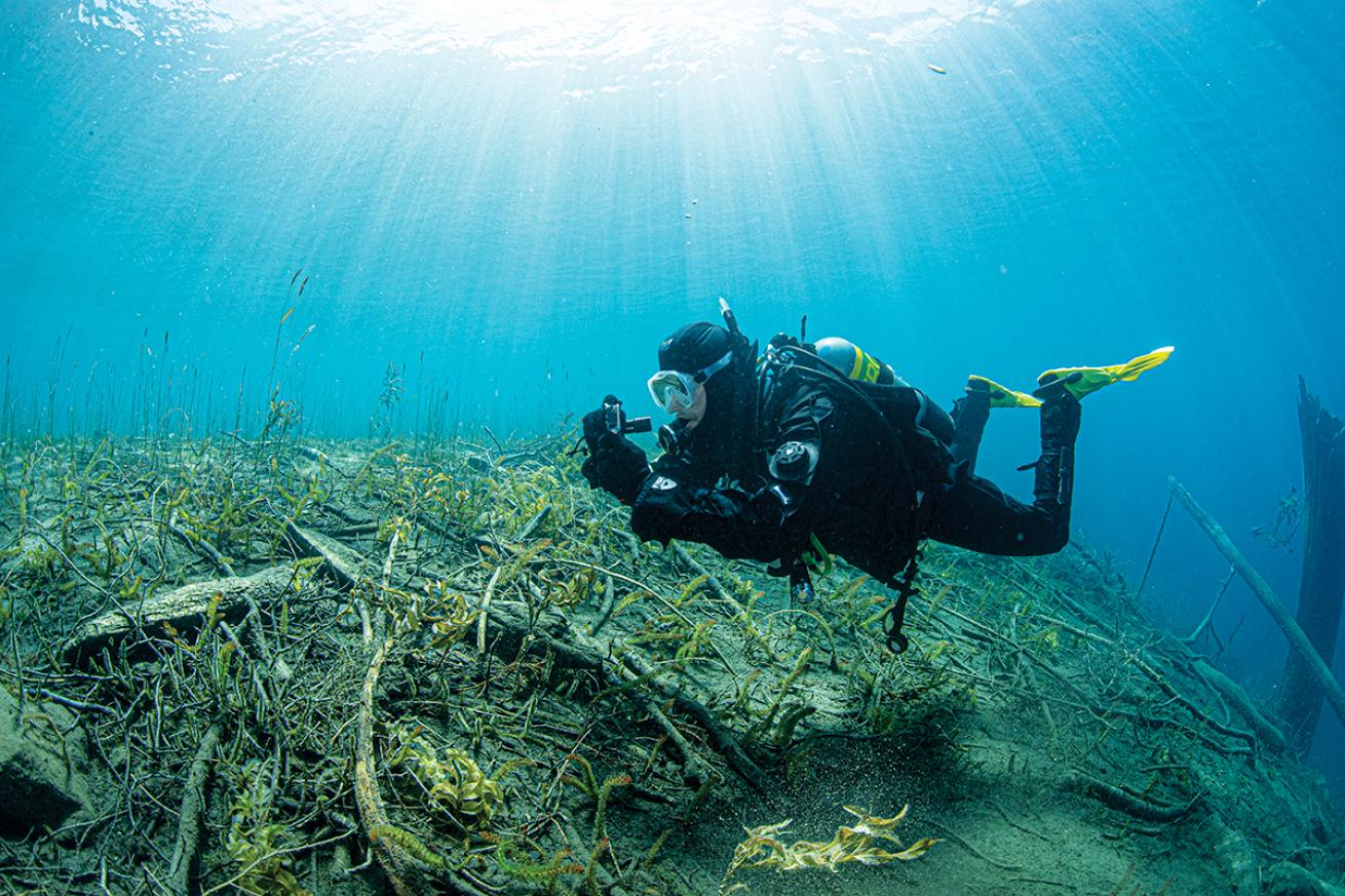 Drysuit diver filming underwater