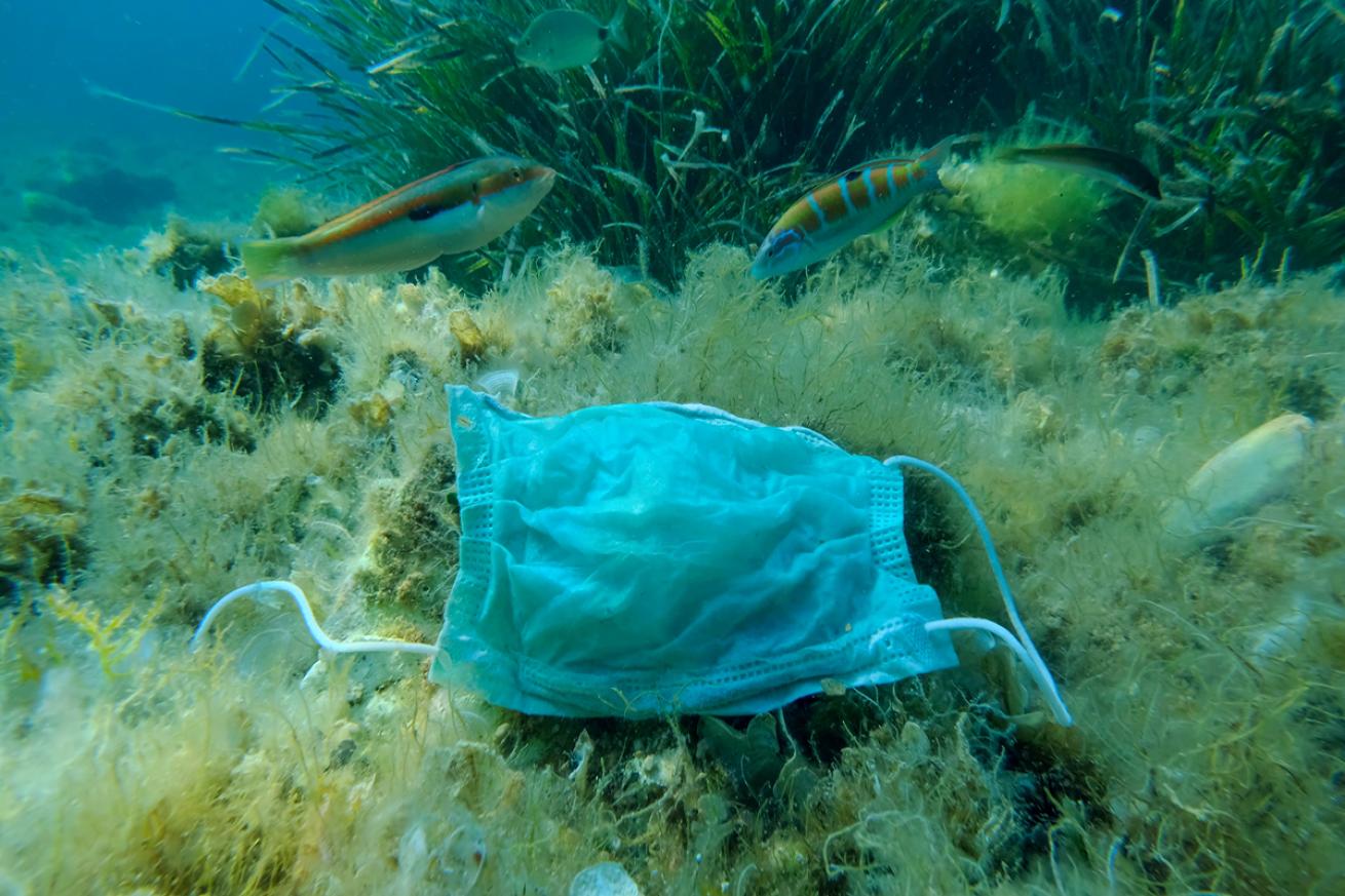 COVID disposable mask sits underwater in a reef