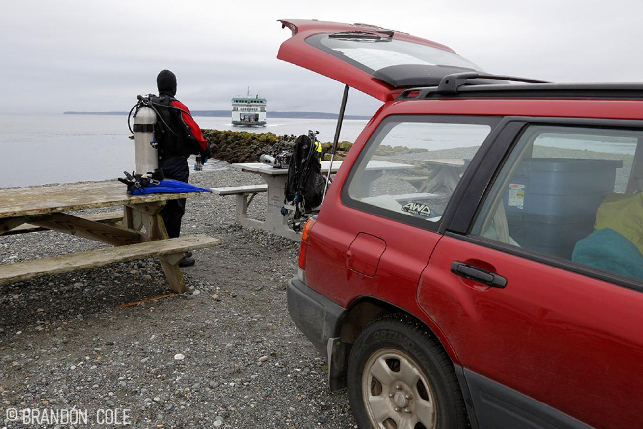 A scuba diver near Keystone Jetty