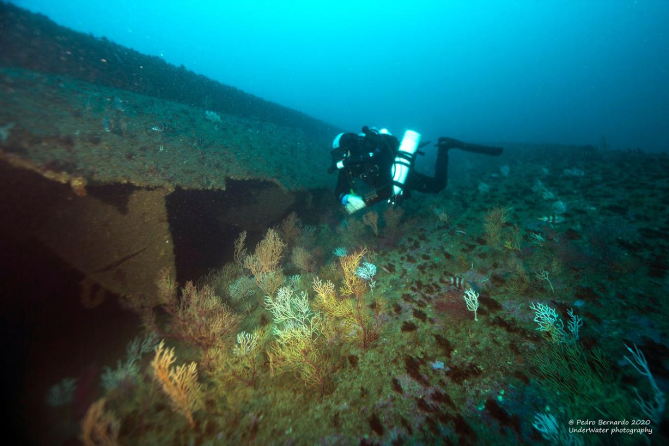 Diving the River Gurara Shipwreck Lisbon