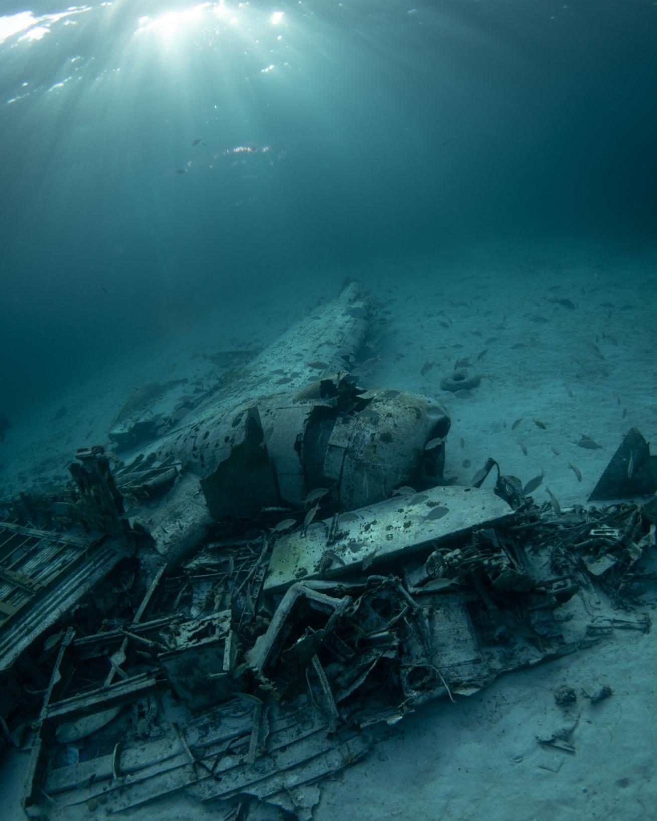 Underwater Plane Wreck in Bahamas 