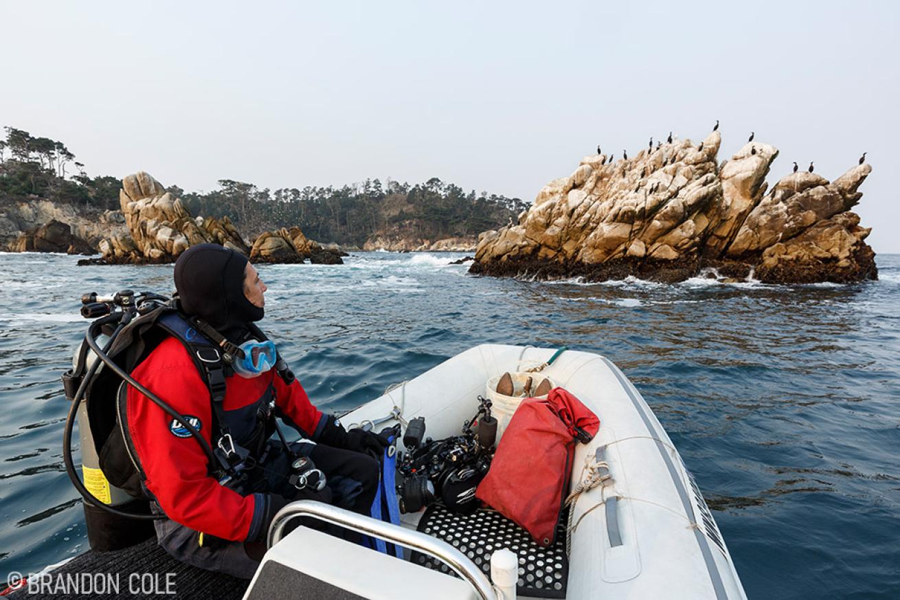 Scuba Diver at Point Lobos State Reserve
