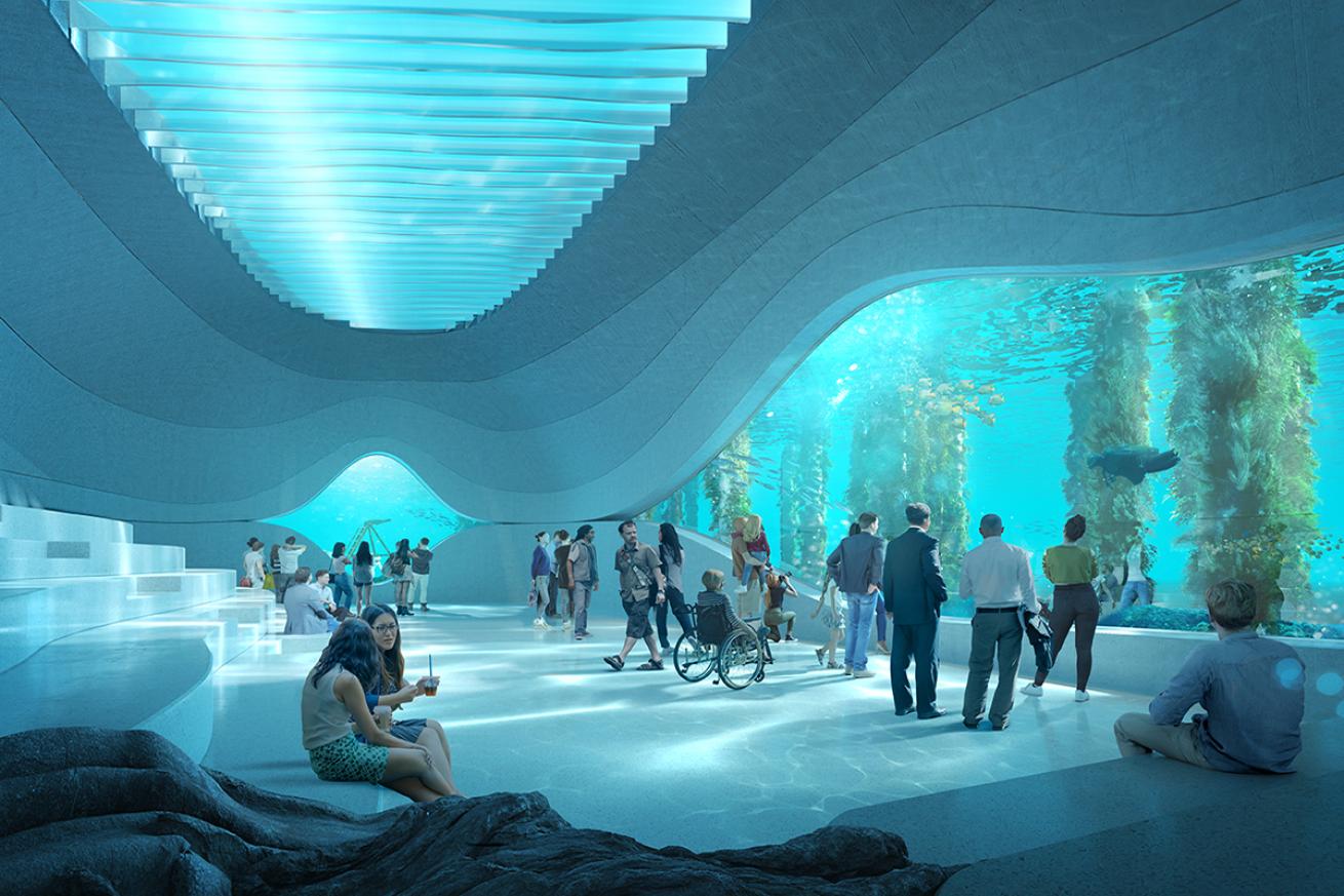 inner rendering of the underwater observatory in the Australian marine discovery center
