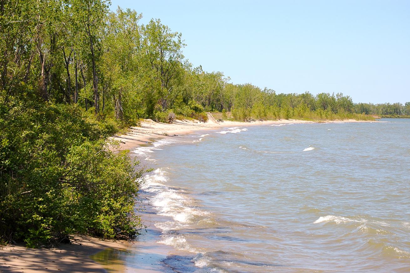 Lake Erie shore