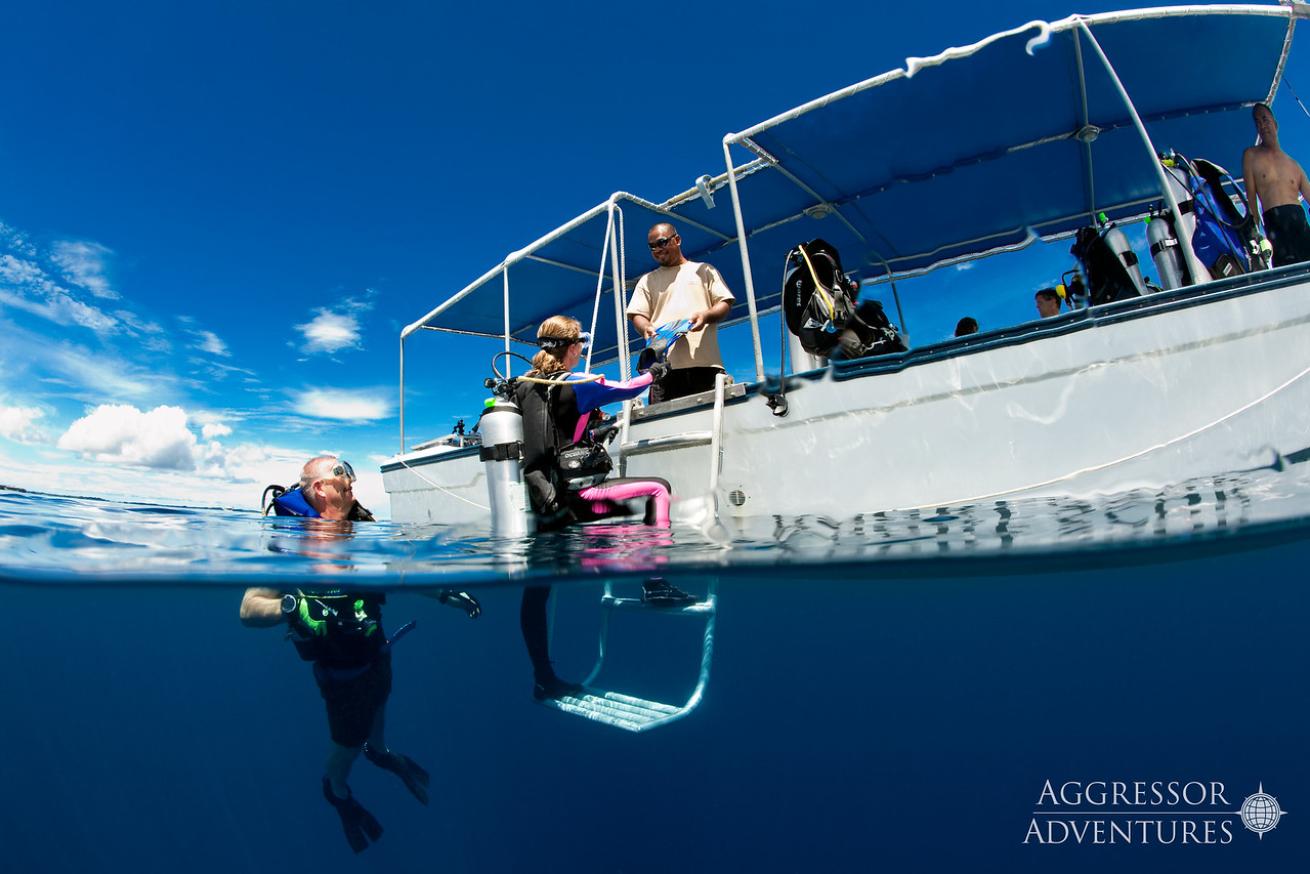 Diving Aboard Rock Islands Aggressor