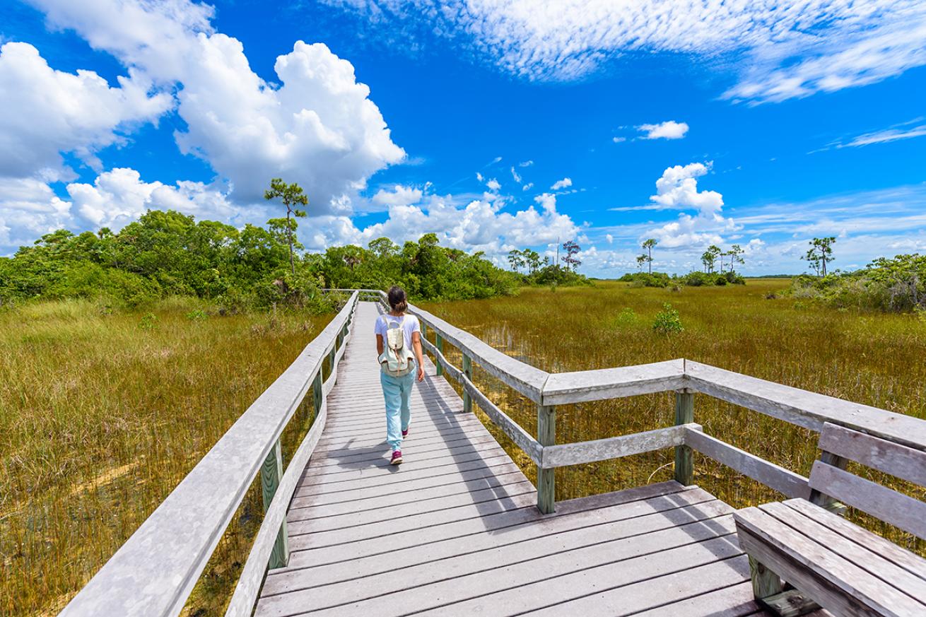 A woman walks on Mahogany Hammock Trail through the Everglades on a sunny day.