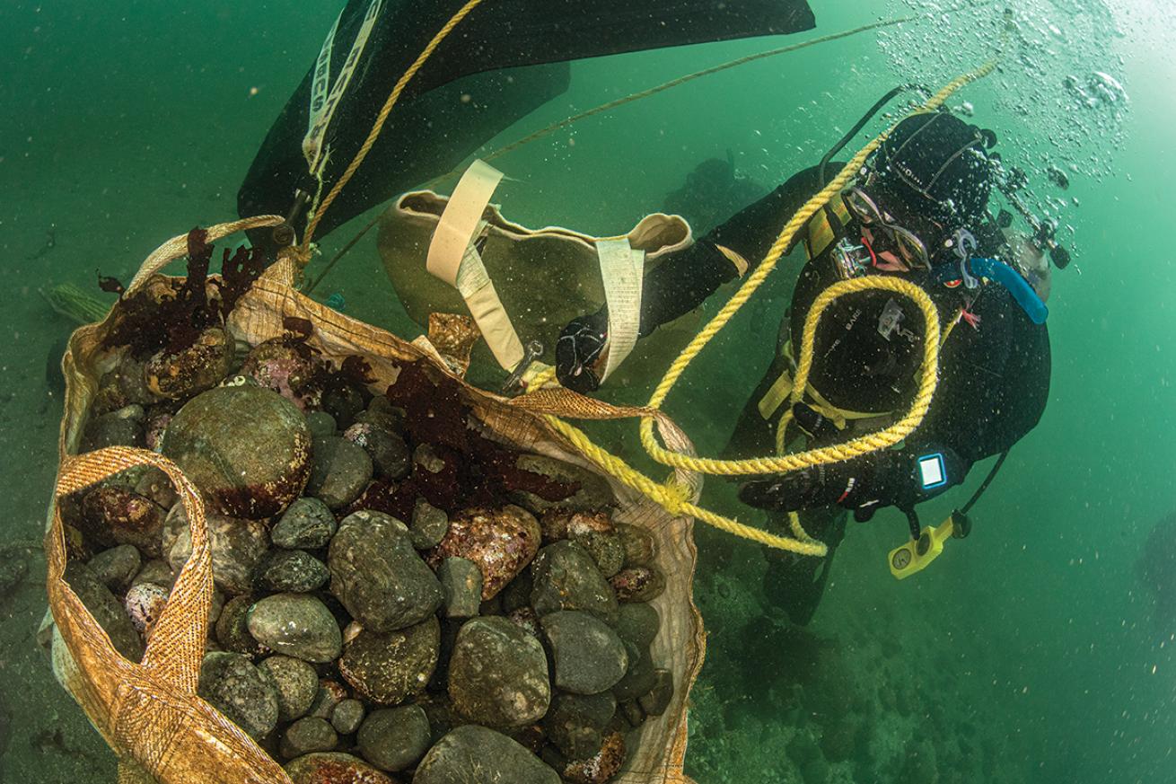 Diver with a bag of rocks in the water