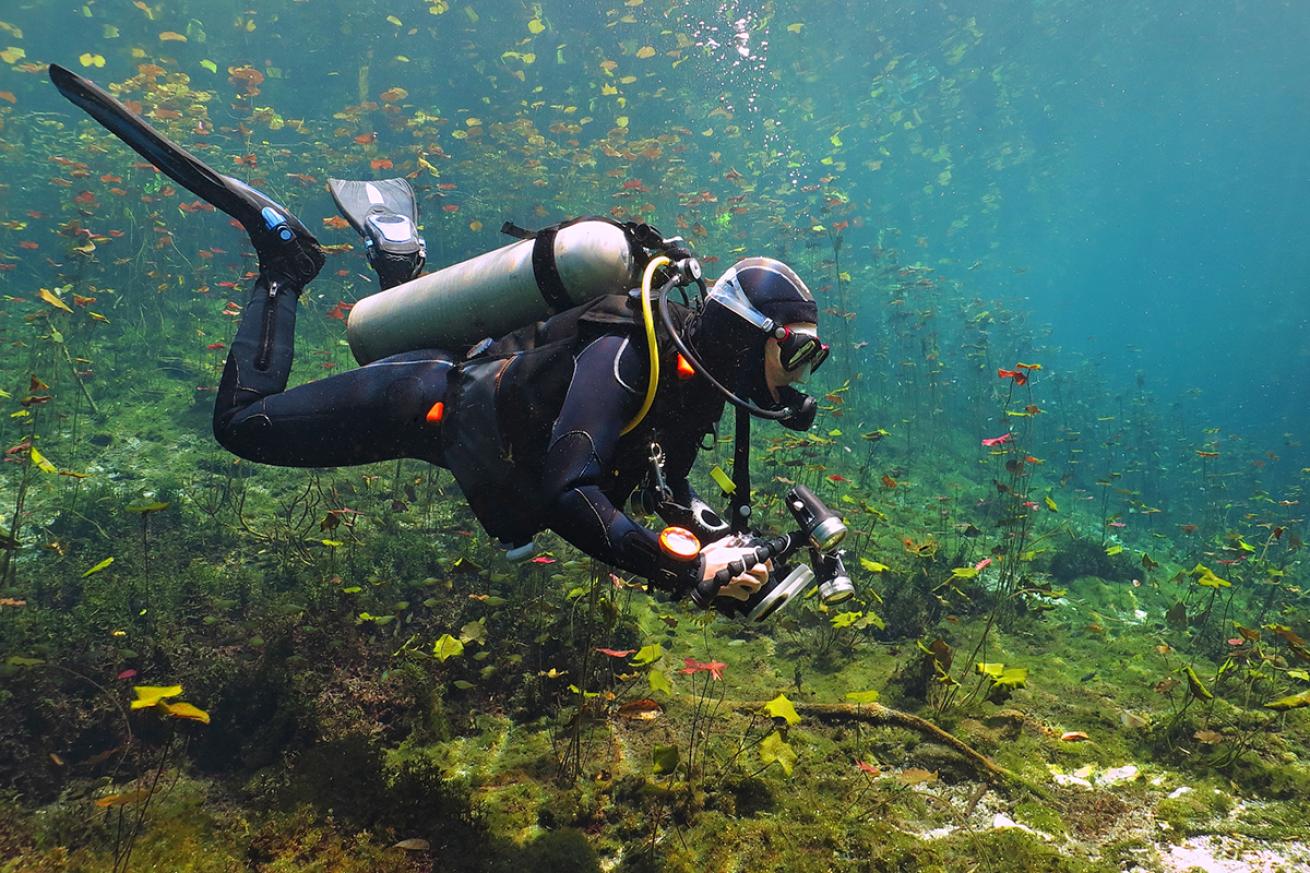 Diver swims in the shallows of a lively cenote.