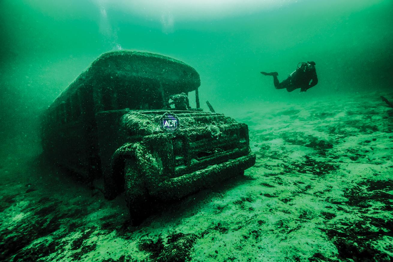 A diver swims past an algal-coated school bus in green waters;