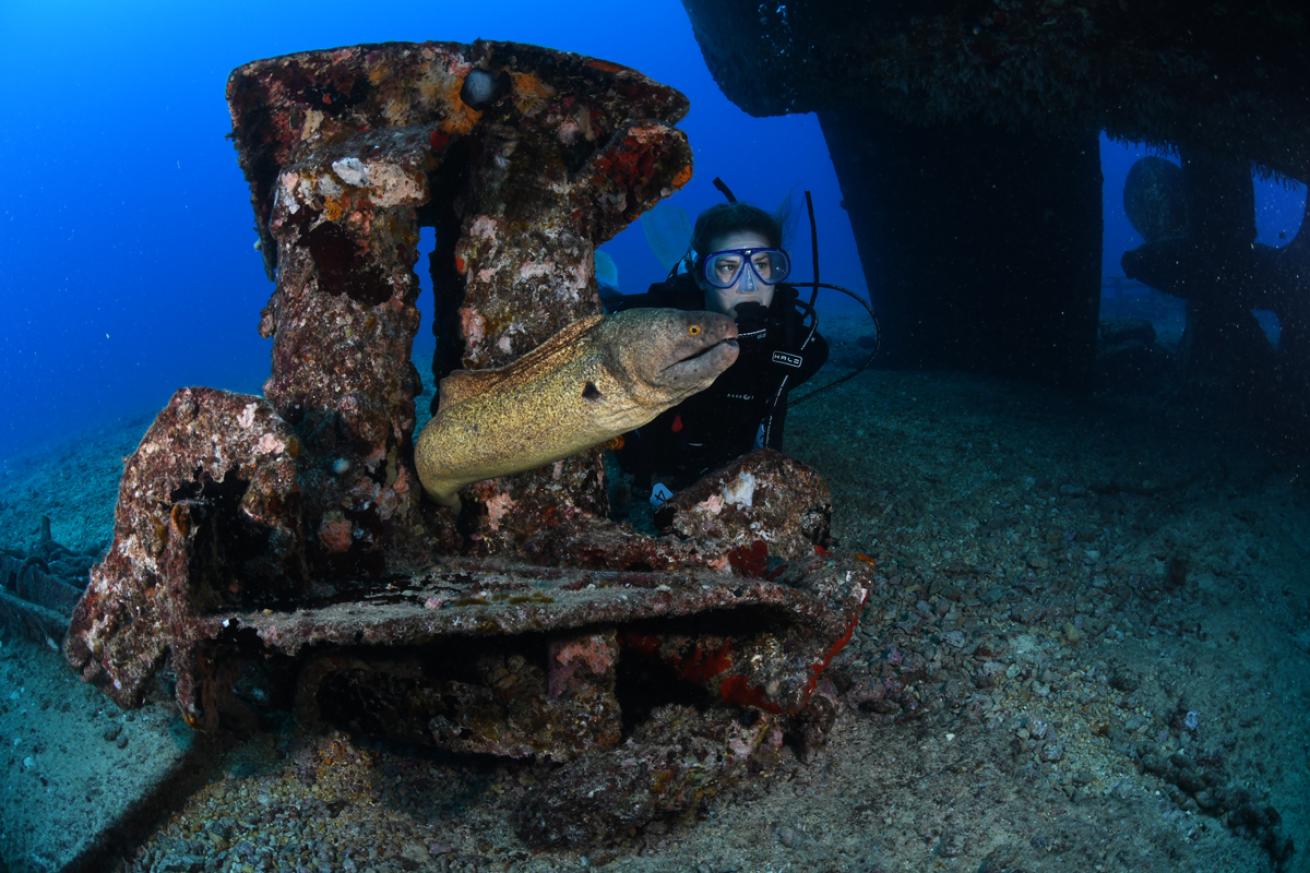 Diver at Navy Tug Oahu